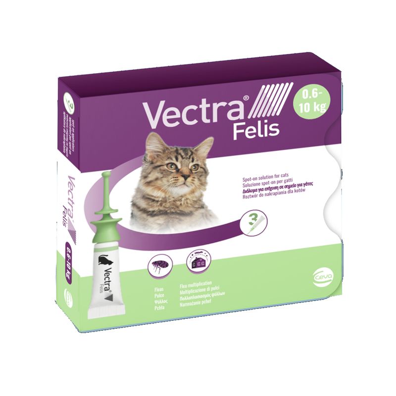 Vectra Felis dla kotów